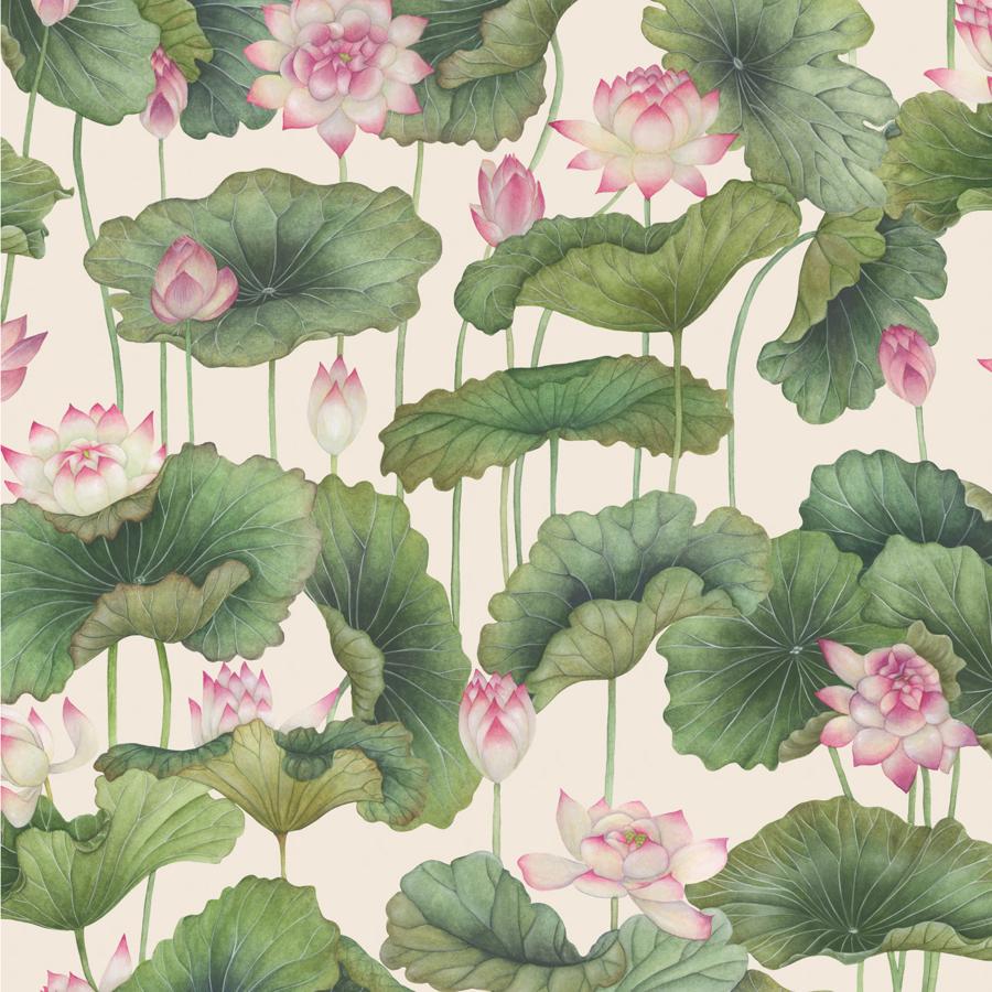 126/9031 | Lily Lotus, Pink Botanical - Cole & Son Wallpaper
