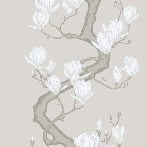 128/1008S | Magnolia Tree, Non Slub Botanical - Cole & Son Wallpaper
