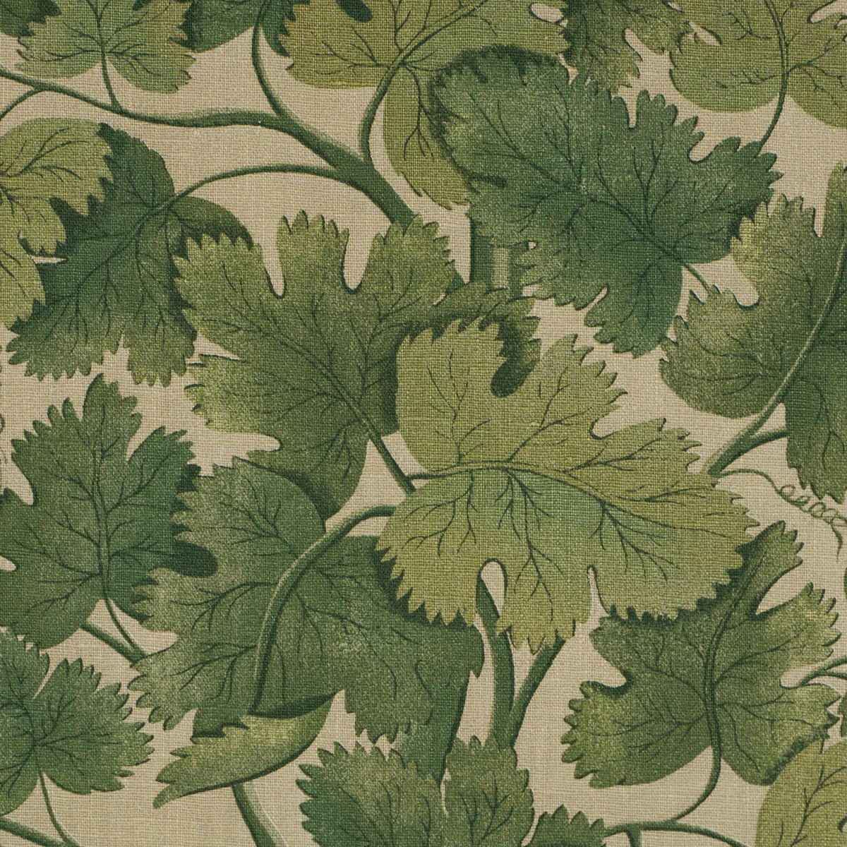 182790 | Edinburgh Vine, Moss - Schumacher Fabric - Image 3