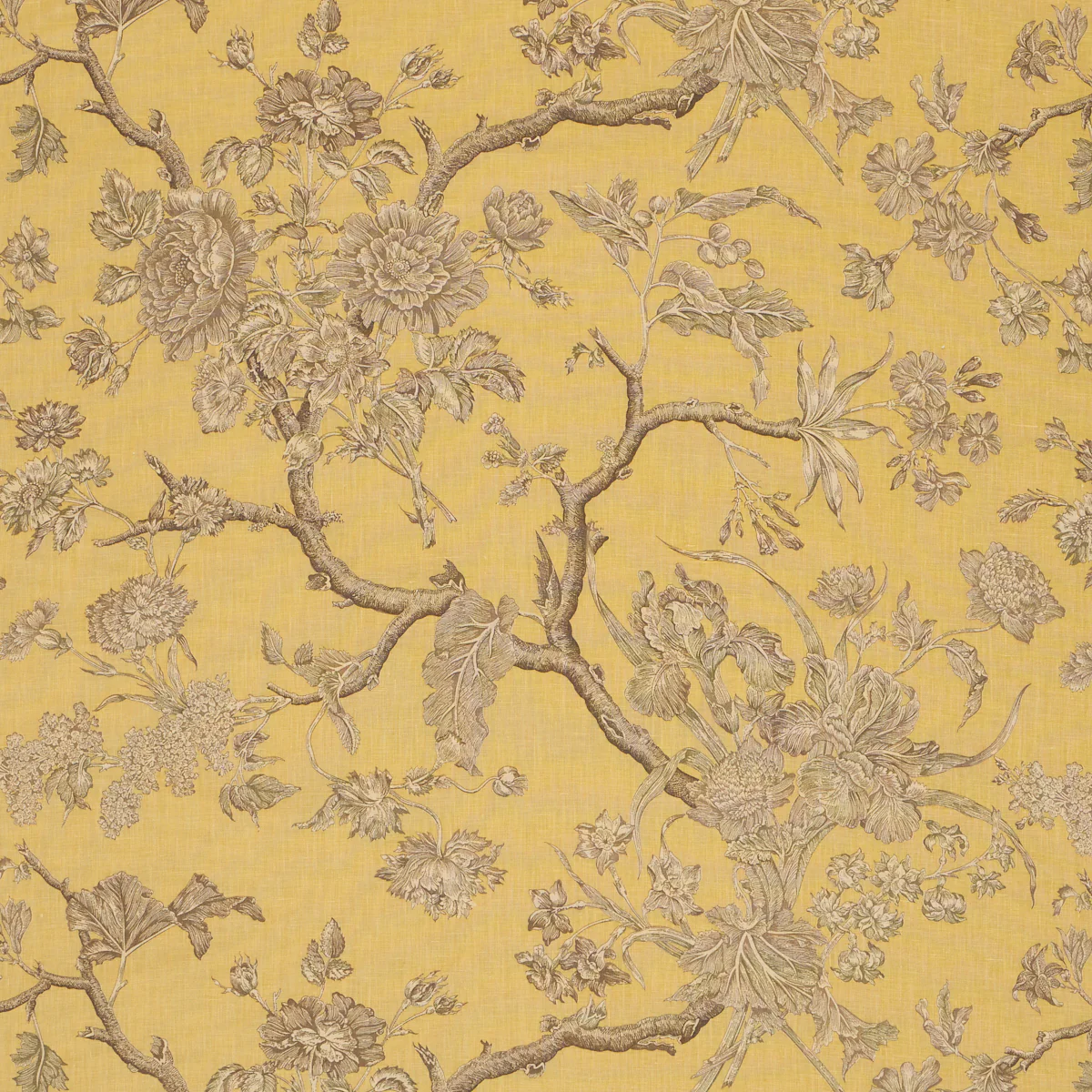 182831 | Inverness Garden, Buttercup - Schumacher Fabric
