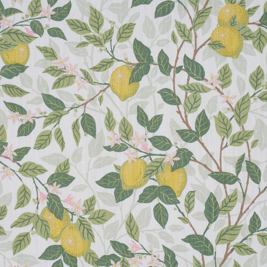 182950 | Citrontrad, Ivory And Leaf - Schumacher Fabric - Image 3
