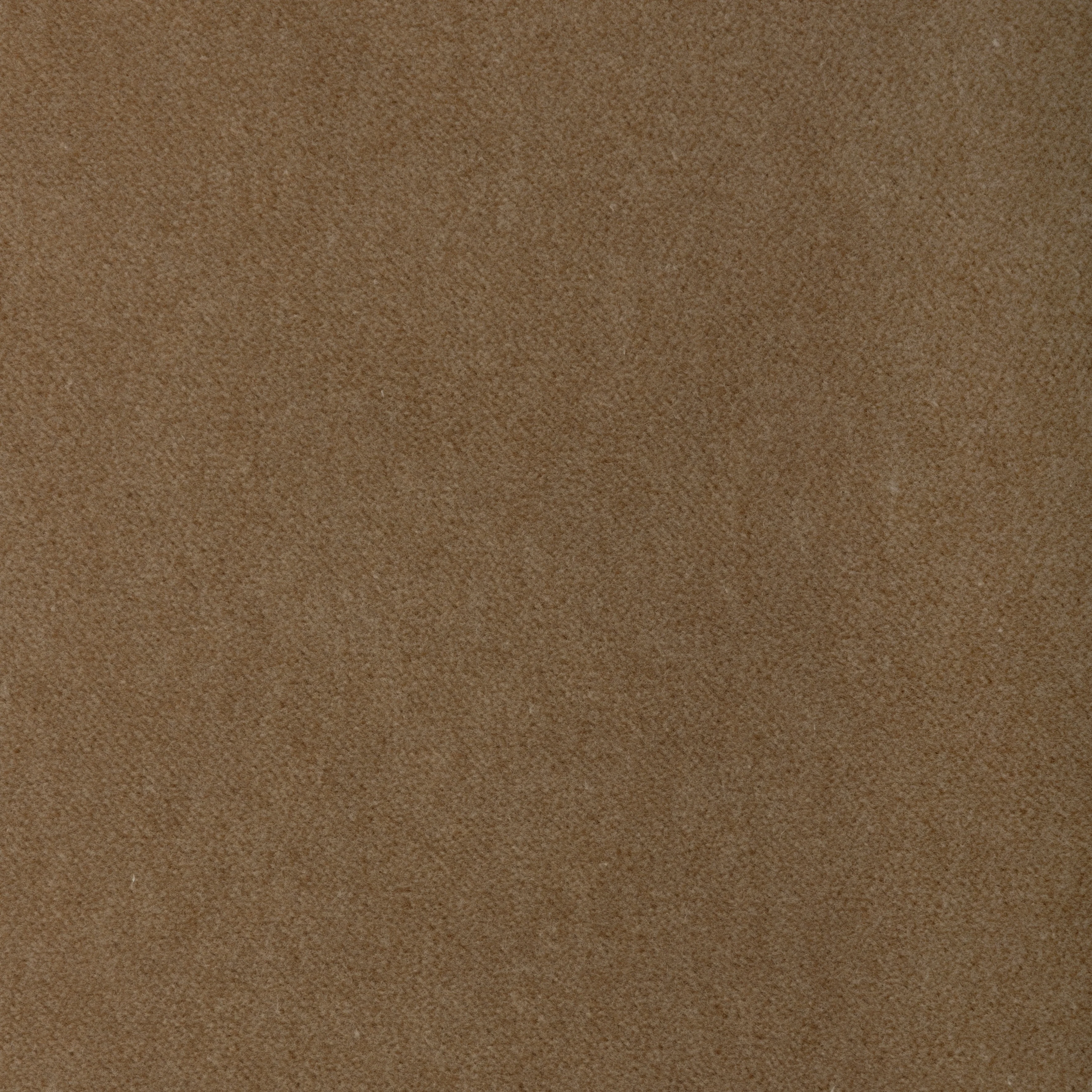 37696.16.0 | Tempo, Tempo Velvets - Kravet Contract Fabric