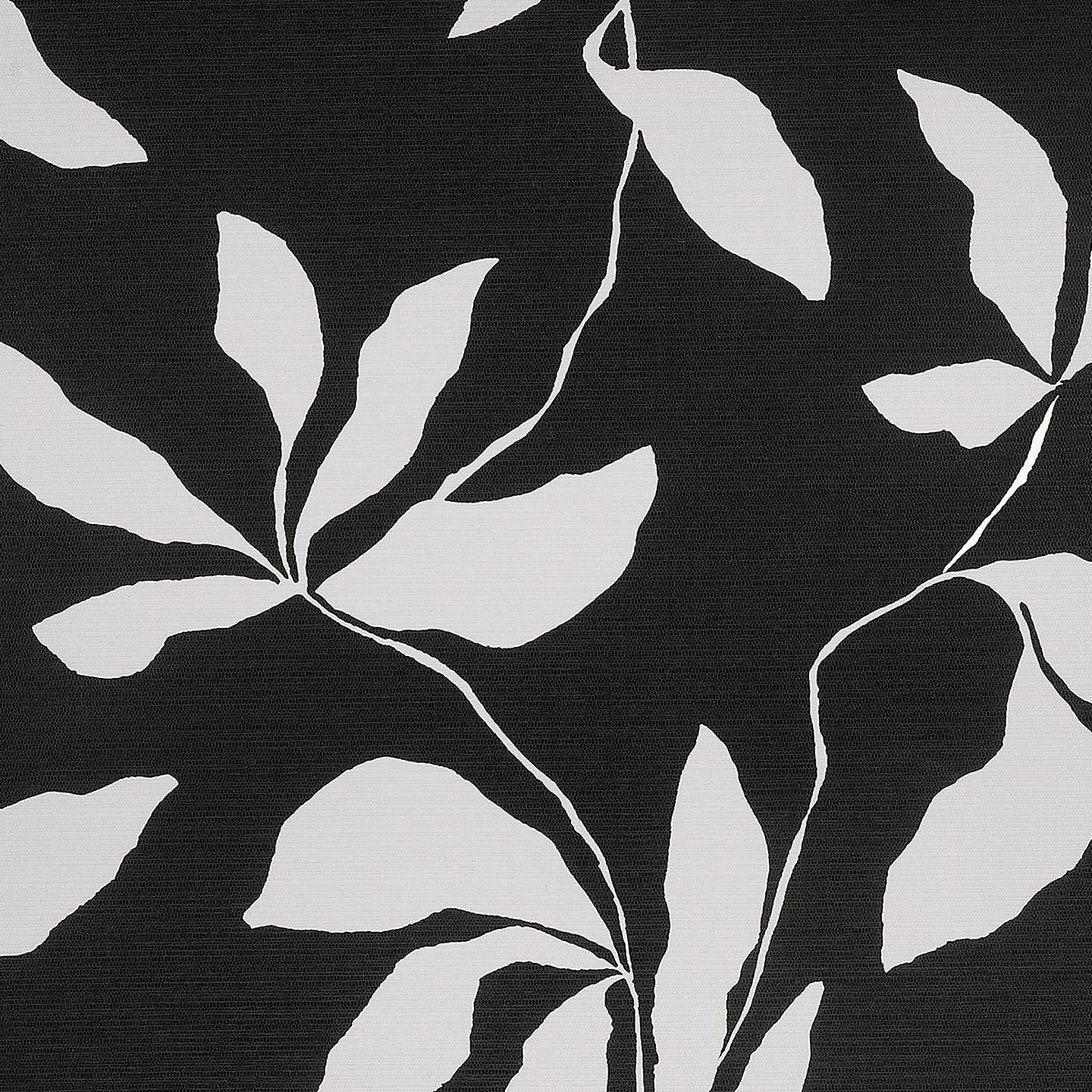 40207 | Desert Ivy, Black Veil on Woven Walls - Phillip Jeffries Wallpaper