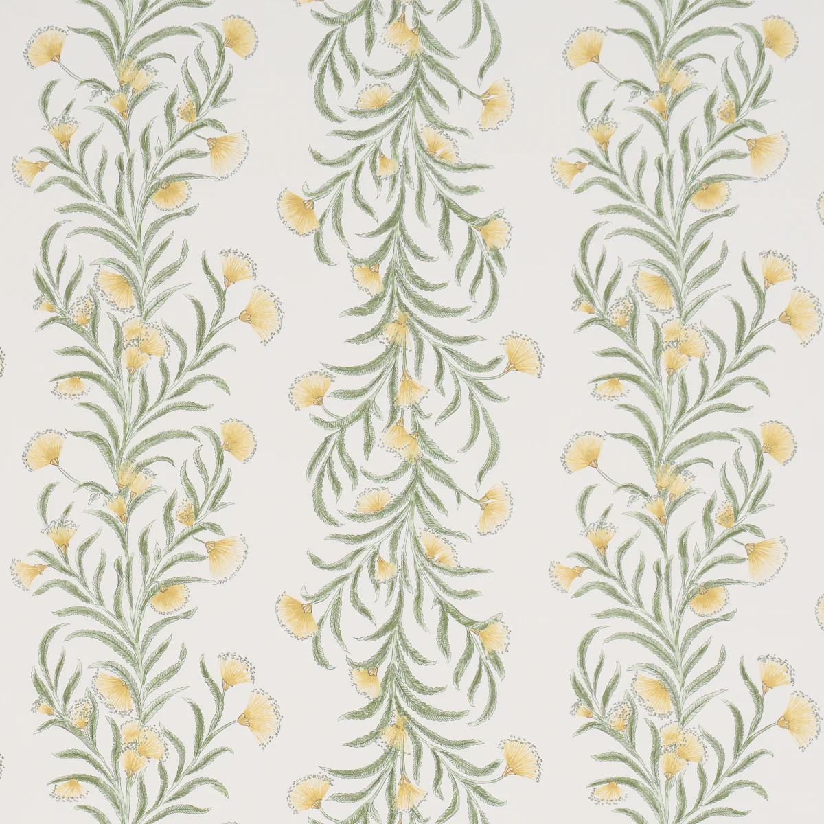 5015365 | Tasmanian Mimosa, Marigold - Schumacher Wallpaper