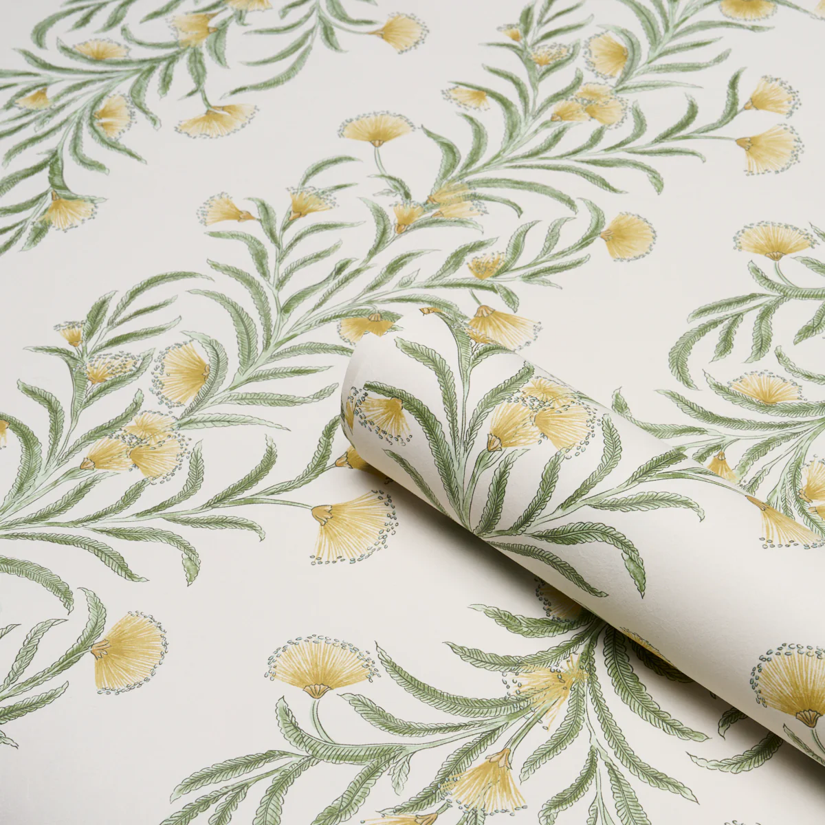 5015365 | Tasmanian Mimosa, Marigold - Schumacher Wallpaper - Image 4
