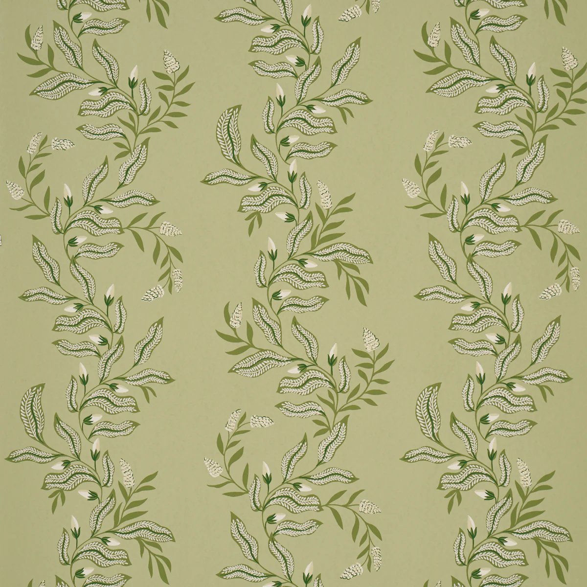 5016970 | Vagary Vines, Honeydew - Schumacher Wallpaper