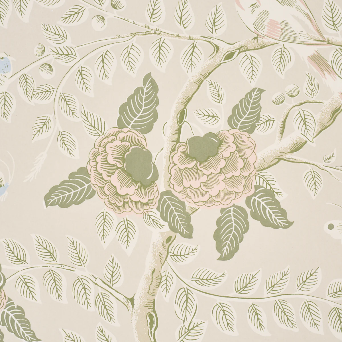5017541 | Tole Bird, Petal - Schumacher Wallpaper - Image 3