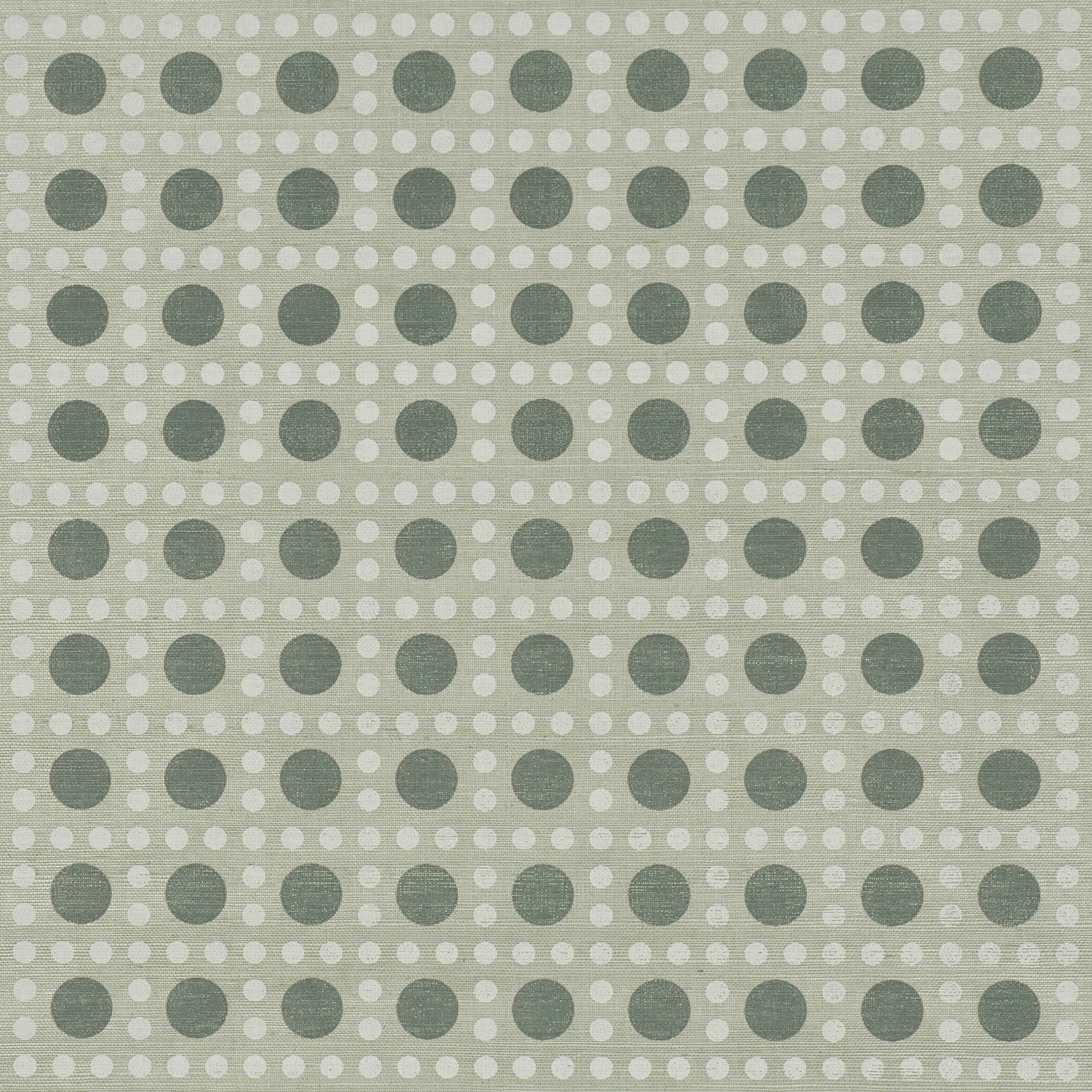 5017871 | Puntini Sisal, Seaglass - Schumacher Wallpaper