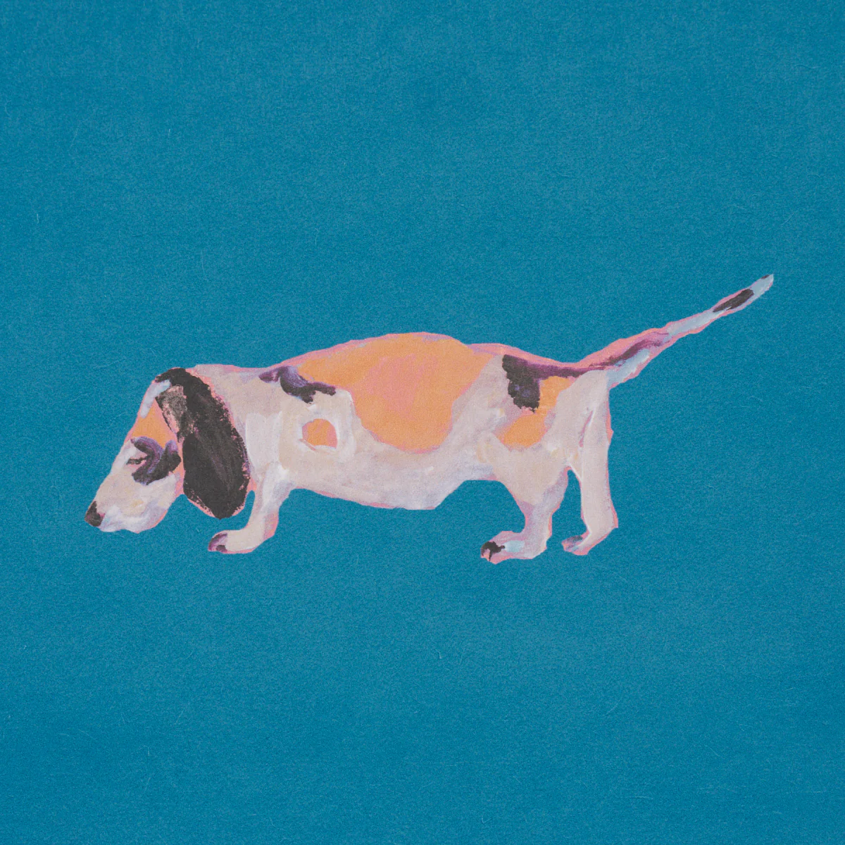 5018081 | Dogs, Cerulean - Schumacher Wallpaper - Image 3