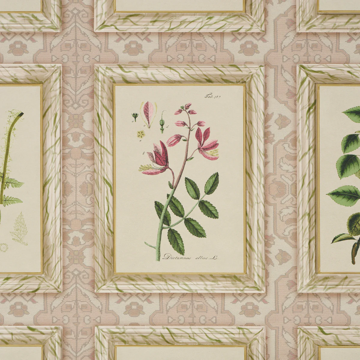 5018310 | Garden'S Trust, Blushed Oyster - Schumacher Wallpaper - Image 3