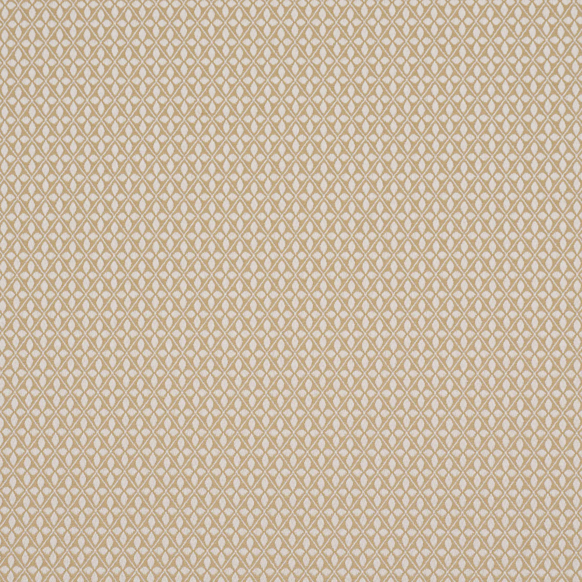 87081 | Adams Damask, Neutral - Schumacher Fabric