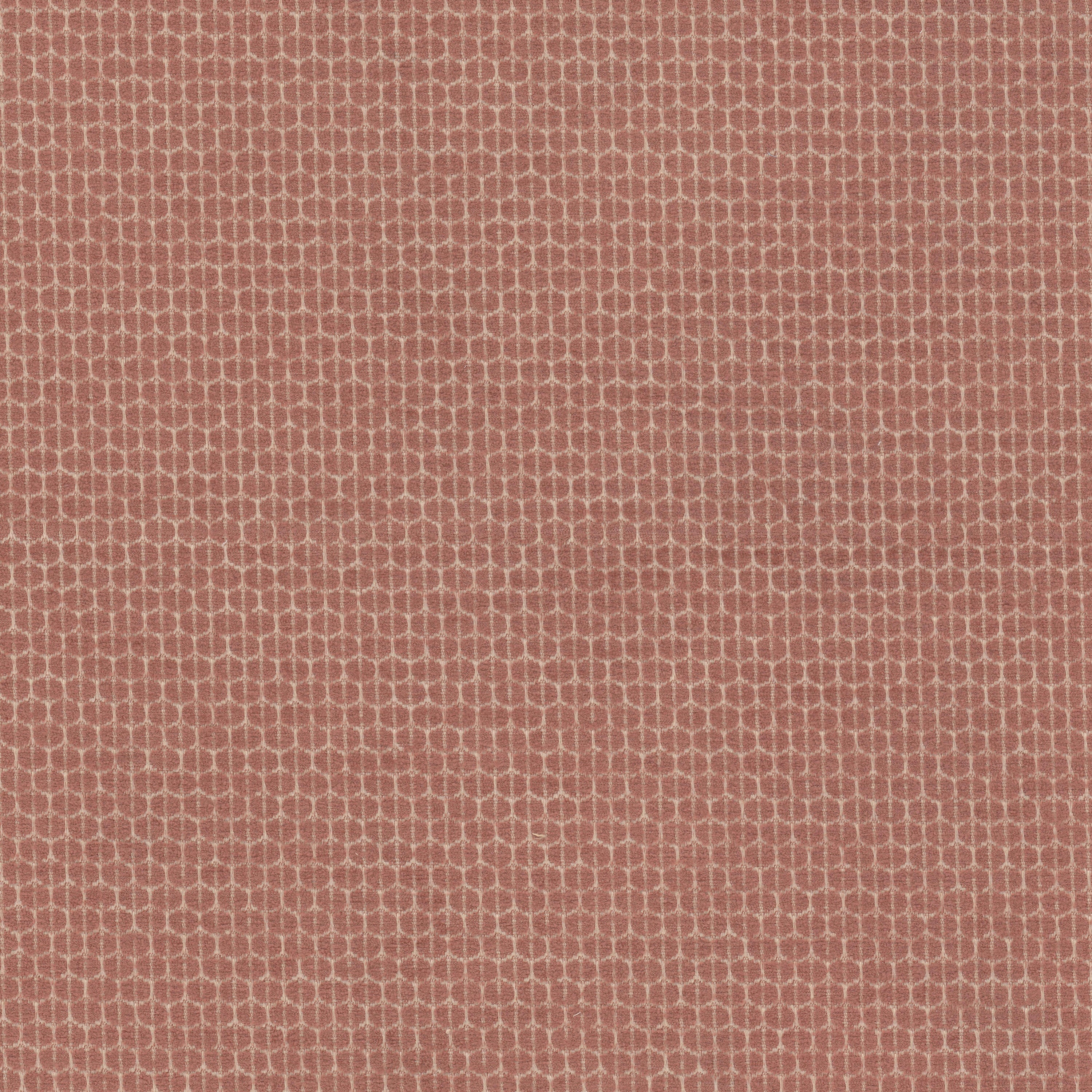 Bias 1 Shrimp - Stout Fabric