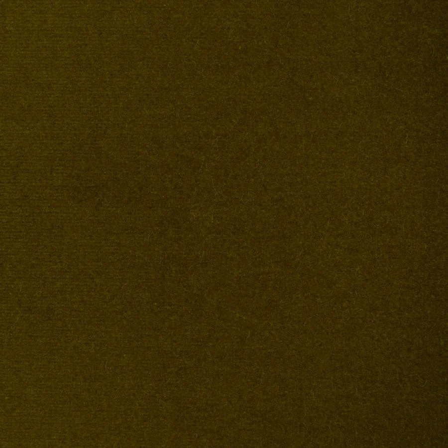 Dg-10158.23.0 | Covet, Olive - Donghia Fabric