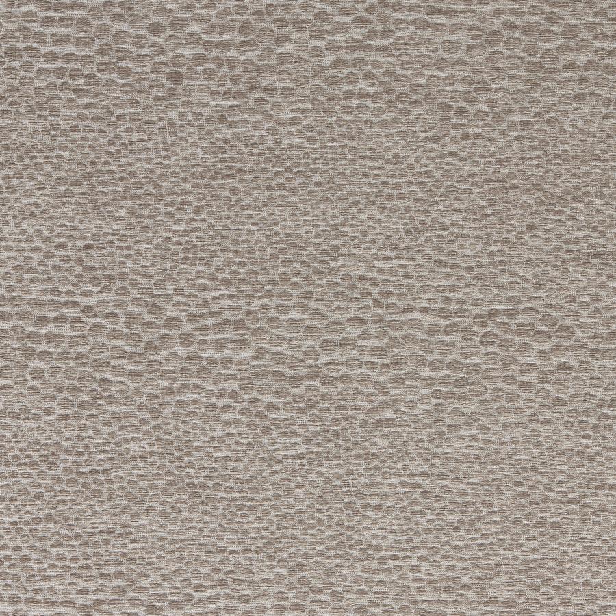 F1788/08.Cac.0 | Castus, Aqueous Performance Weaves - Clarke And Clarke Fabric