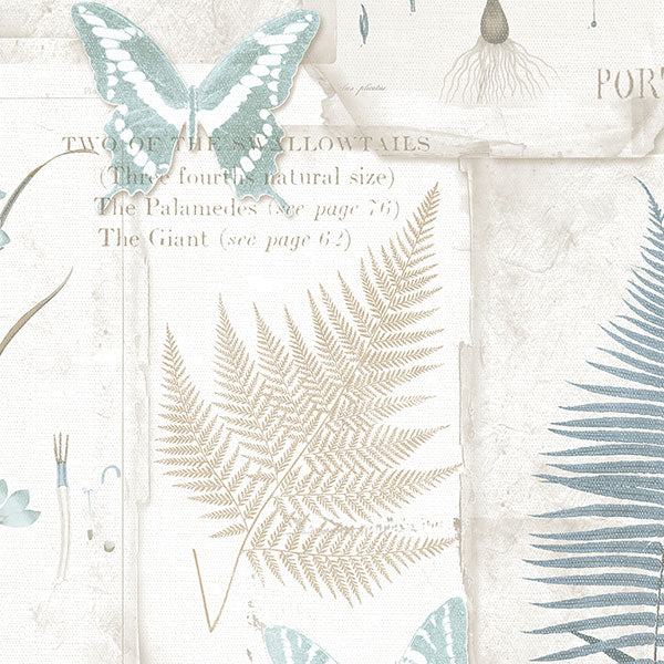 Fk34414 | Fresh Kitchens 5, Blue Butterflies - Norwall Wallpaper