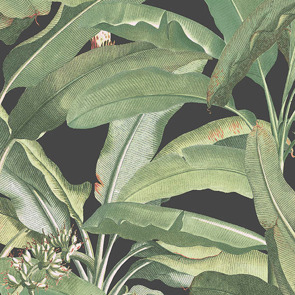 Mh36535 | Manor House, Green Botanical - Norwall Wallpaper