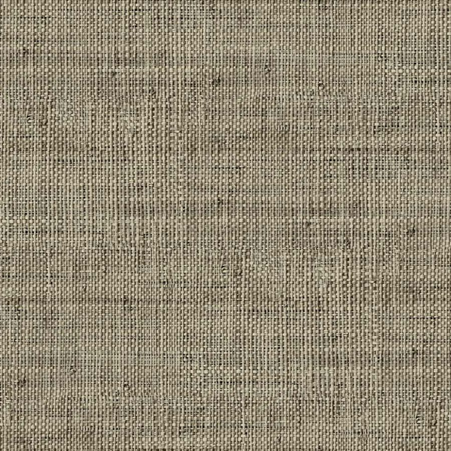 RA40316 | Wild Bind 27 - Seabrook Wallpaper
