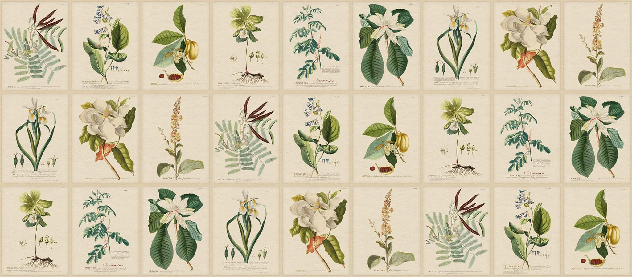 S10598 | Flora, Green - Sandberg Mural - Image 2