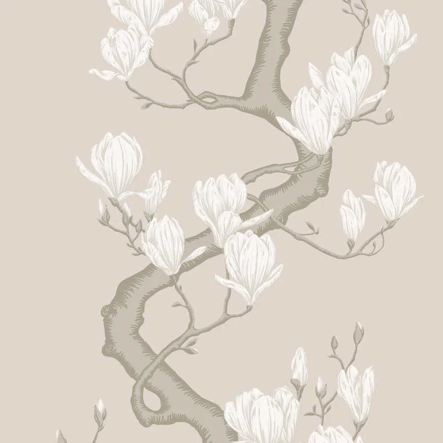 Sample - 128/1003 | Magnolia Tree, Soft Cream Botanical - Cole & Son Wallpaper