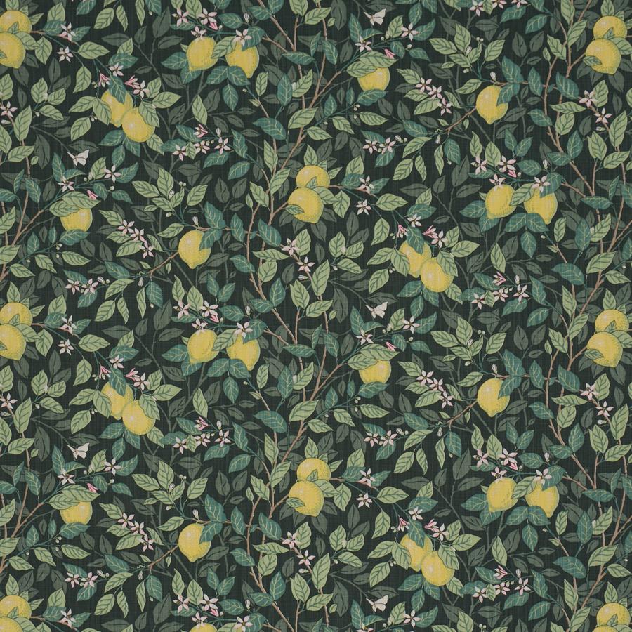 Sample - 182951 | Citrontrad, Green - Schumacher Fabric