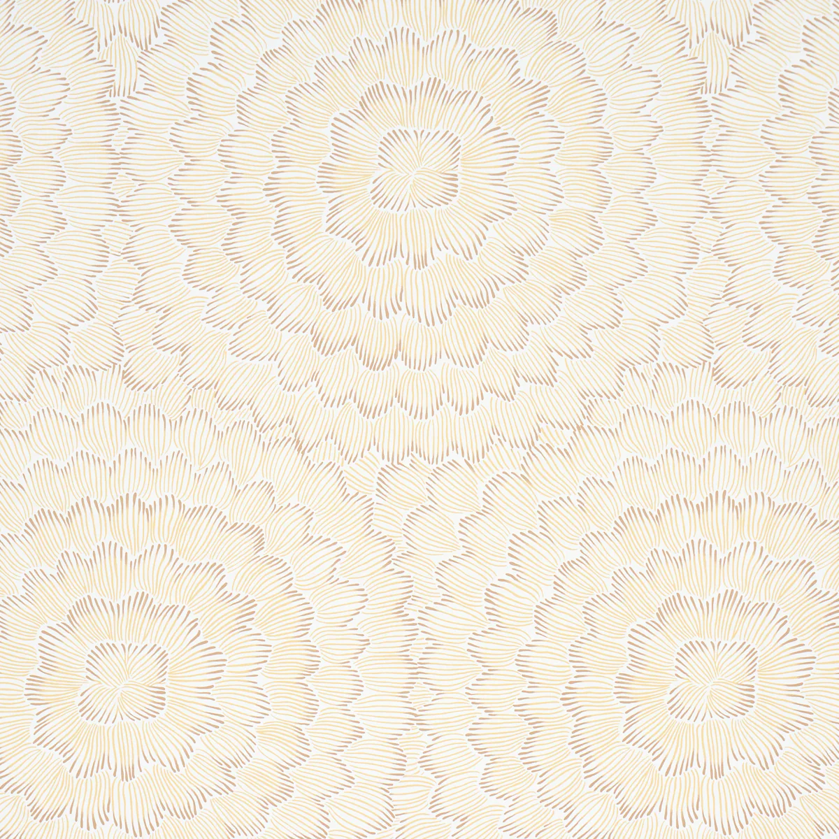 Sample - 5013825 | Feather Bloom, Mustard - Schumacher Wallpaper