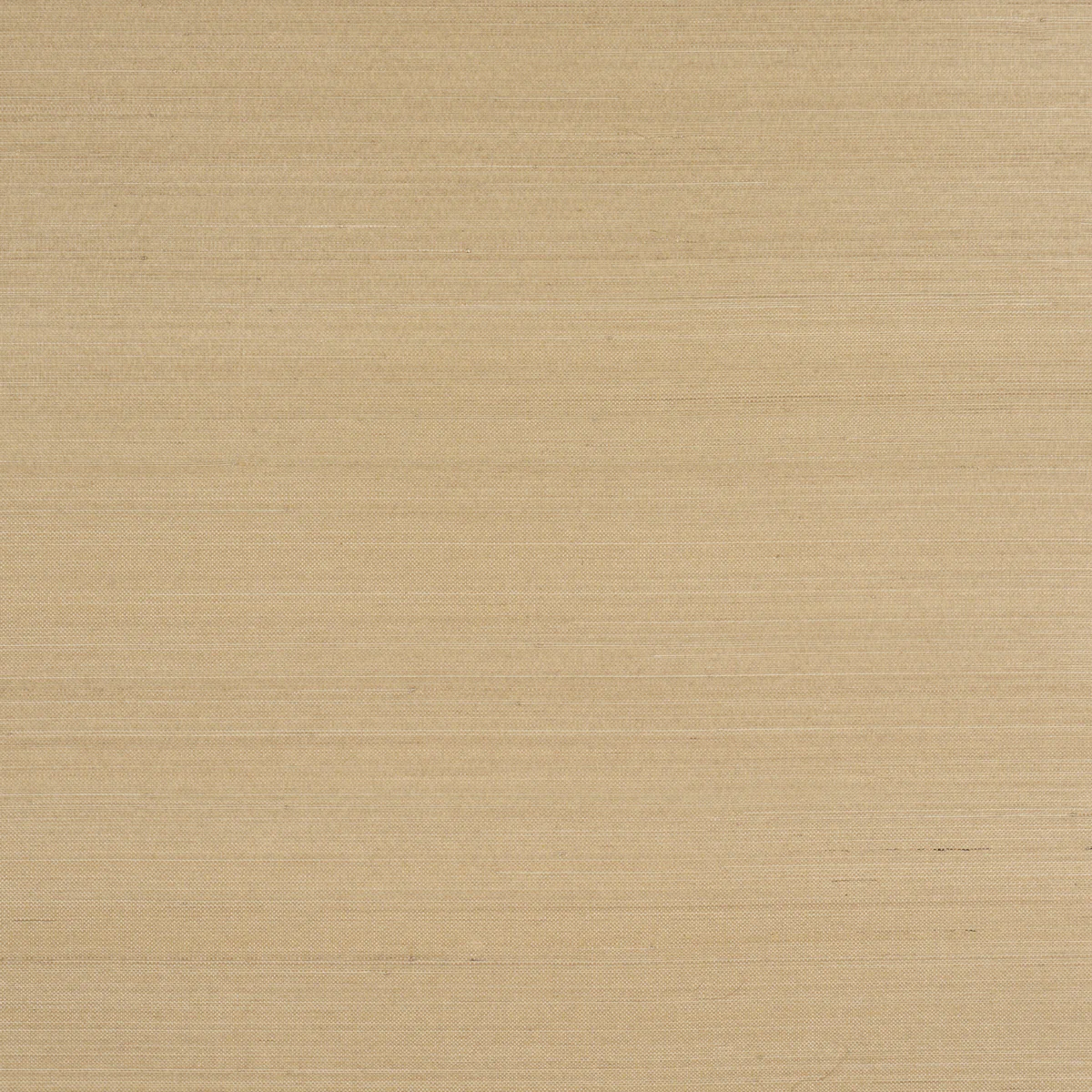 Sample - 5016873 | Musa Abaca Wallcovering, Soft Gold - Schumacher Wallpaper