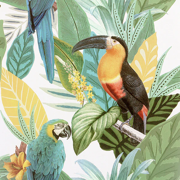 Sample - AH296803 Brewster Wallpaper, Trudie Multicolor Toucan Macaw Arthouse