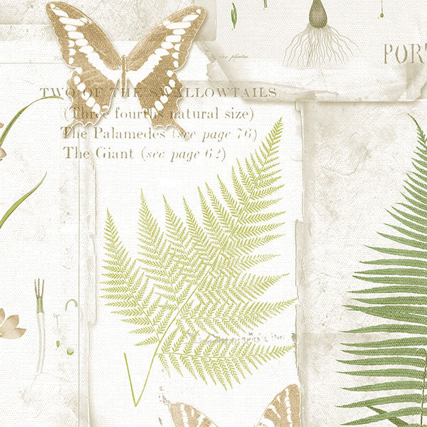 Sample - Fk34415 | Fresh Kitchens 5, Green Butterflies - Norwall Wallpaper