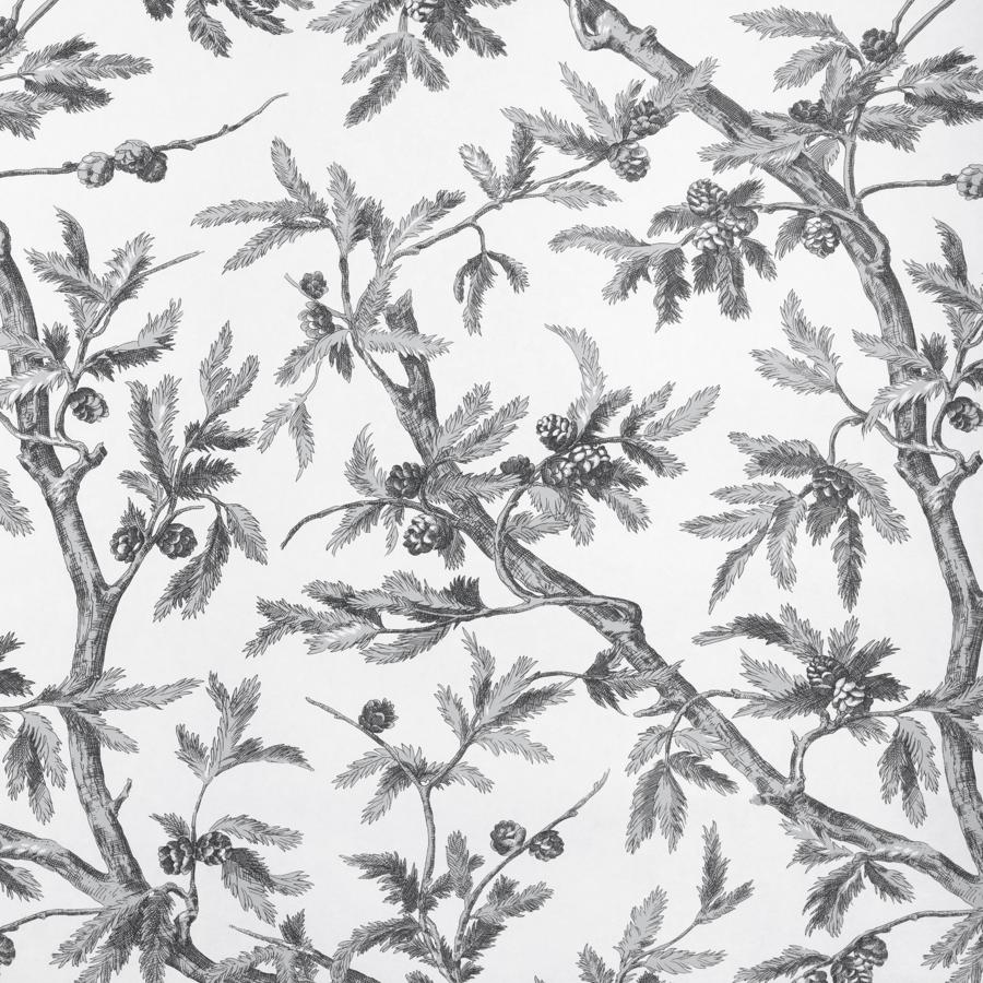 Sample - P8025100-116 | Branches De Pin Wc, Grey Botanical - Brunschwig & Fils Wallpaper - P8025100.116.0
