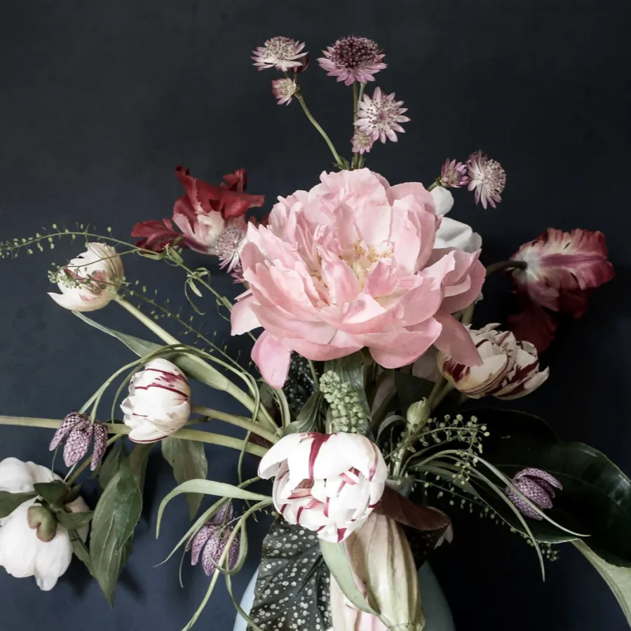 Sample - S10364 | Julie Dark - Sandberg Mural