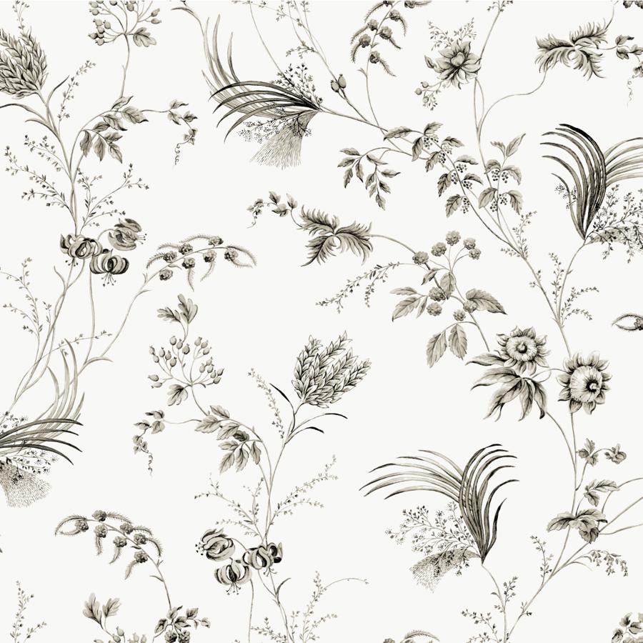 Sample - W4415-8 | Kravet Design, Black Botanical - Kravet Design Wallpaper - W4415.8.0
