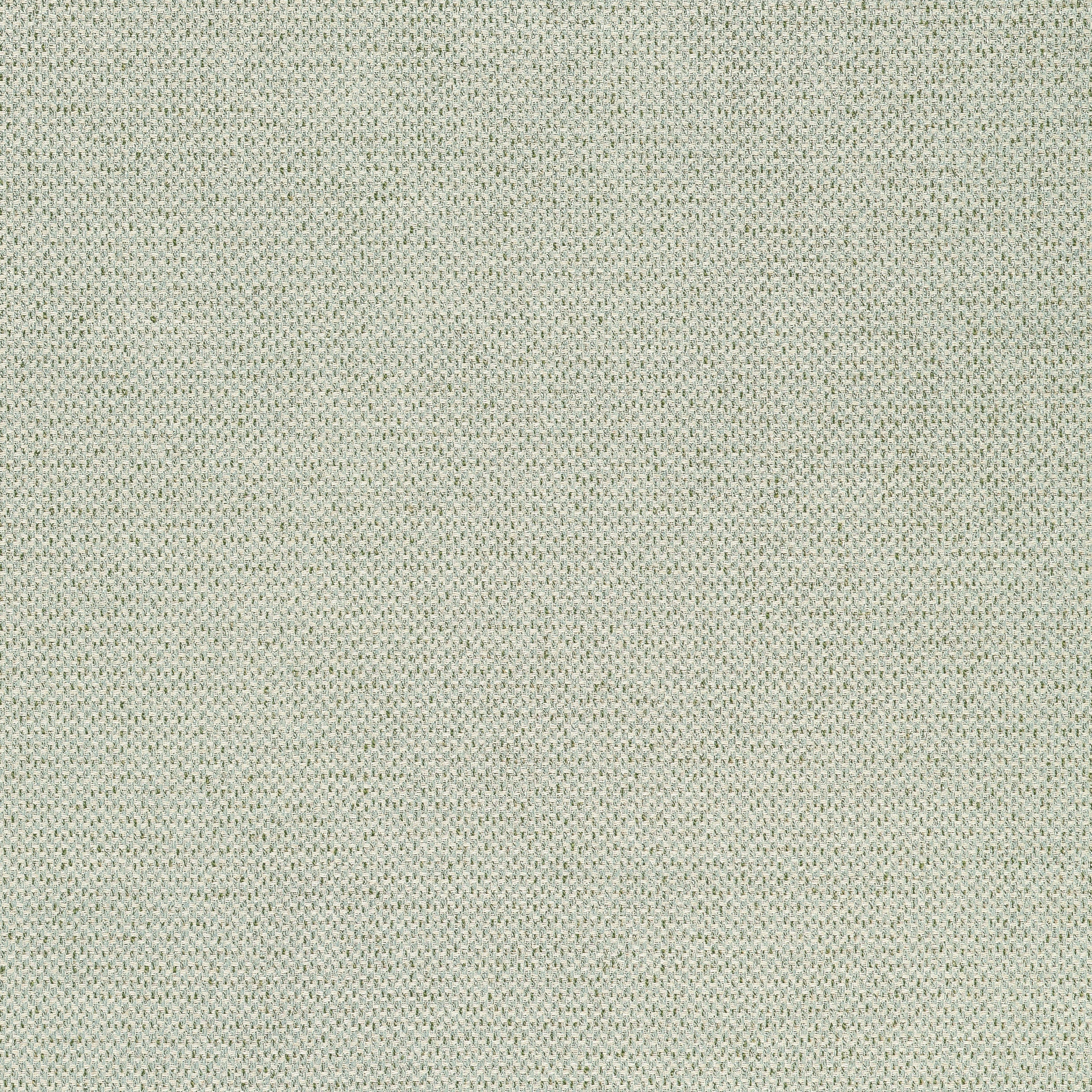 Sample - W711244 | Bizette, Moss - Thibaut Fabric