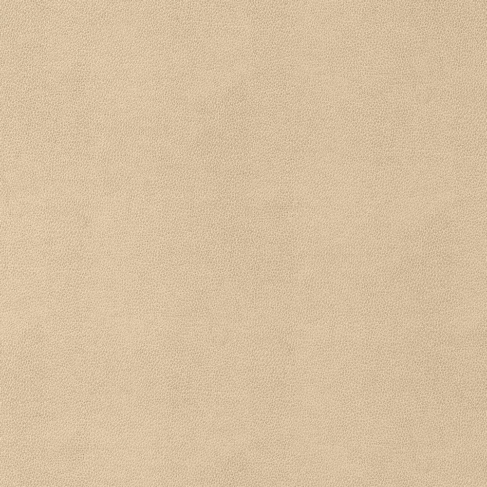 Sample - W9052 Vegan Leathers, Gaucho, Suede - Thibaut Fabric
